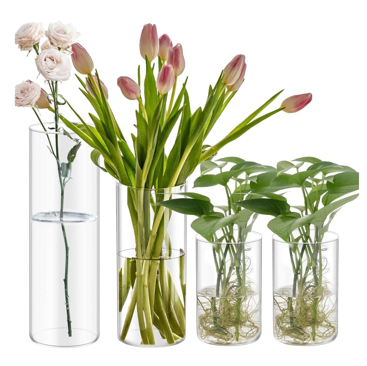 The Pink Closet™ 15 cm Diameter Clear Glass Cylinder